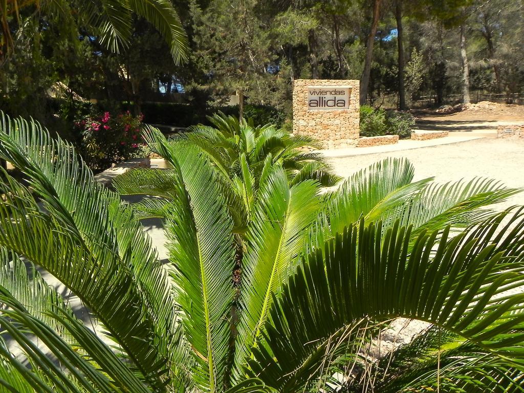 Viviendas Turisticas Vacacionales Allida Playa Migjorn Εξωτερικό φωτογραφία