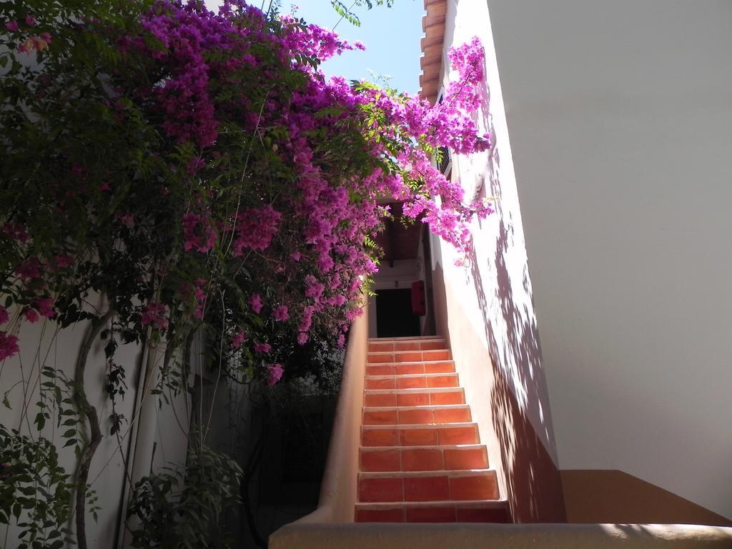 Viviendas Turisticas Vacacionales Allida Playa Migjorn Εξωτερικό φωτογραφία